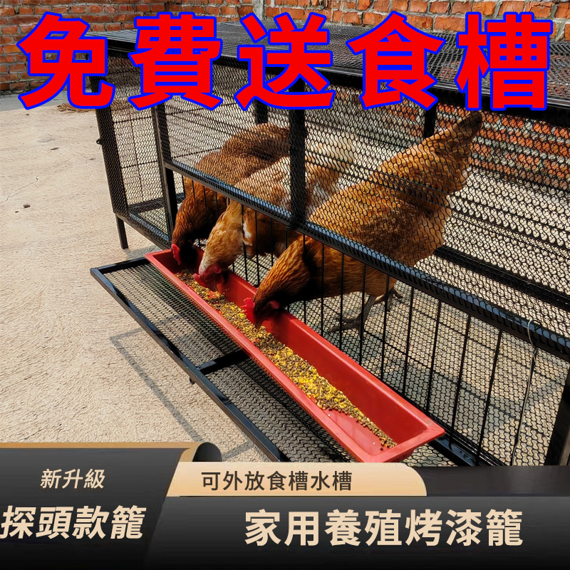 全新升級款雞籠｜可伸頭設計方便吃食，加密防鼠防黃鼠狼，室外可用不怕風雨！穩固加厚不鏽鋼，買就送喂食器，好用不加價！