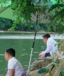 24.gif