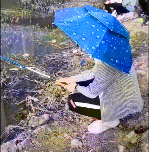 22.gif