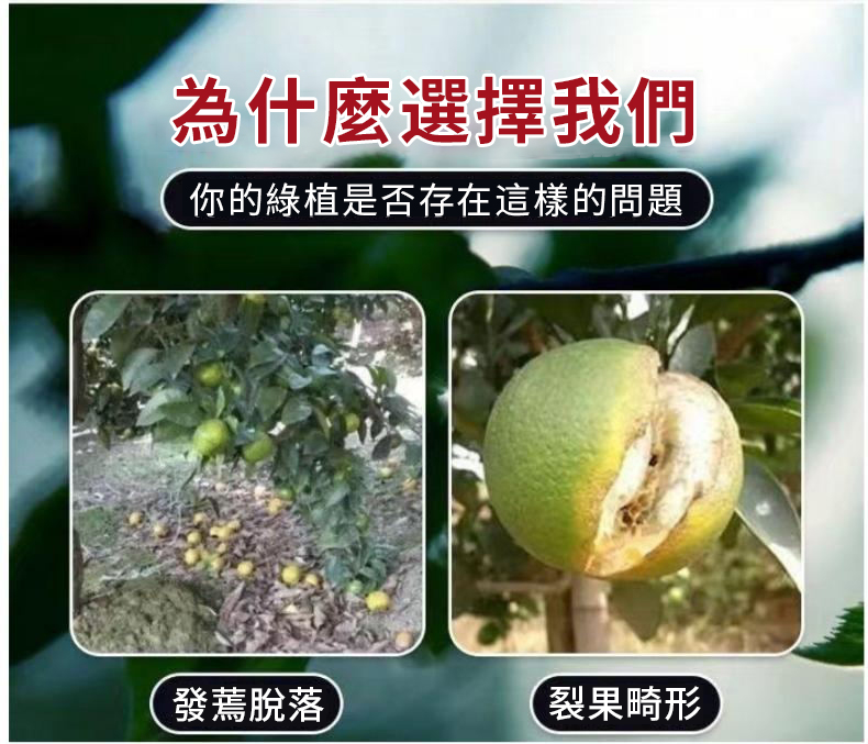 10022_看图王.jpg