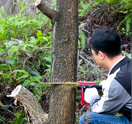 4.gif