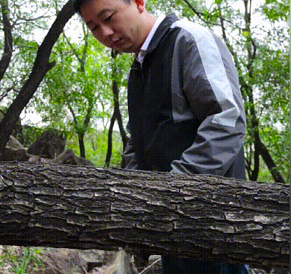 7.gif