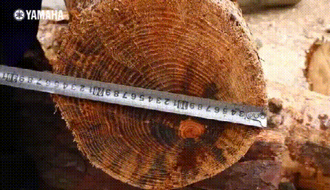 8.gif