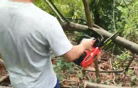 2.gif
