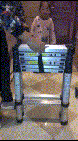 10022.gif