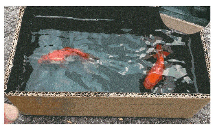 db3d4c05942b68e1df87be48470d2e99.gif