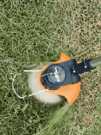 10.gif.gif