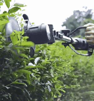 11.gif.gif